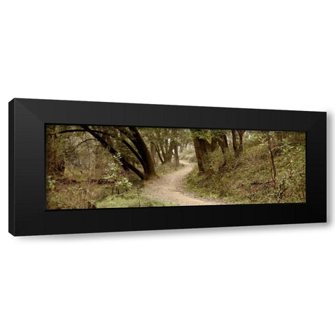 Oak Tree - 50 Black Modern Wood Framed Art Print by Blaustein, Alan