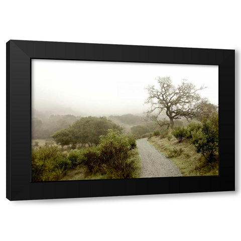 Oak Tree - 44 Black Modern Wood Framed Art Print by Blaustein, Alan