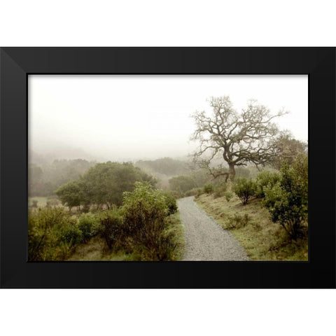 Oak Tree - 44 Black Modern Wood Framed Art Print by Blaustein, Alan