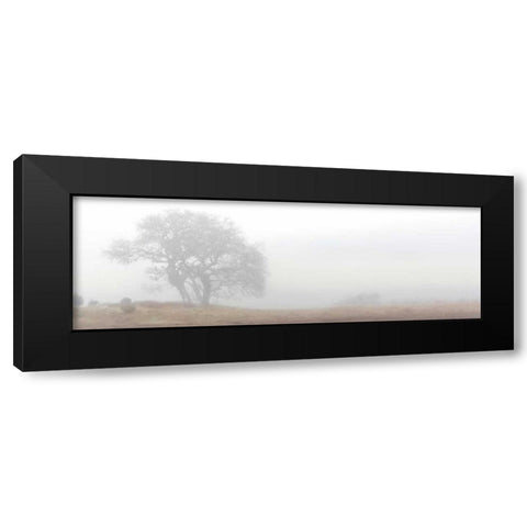 Oak Tree - 14 Black Modern Wood Framed Art Print by Blaustein, Alan