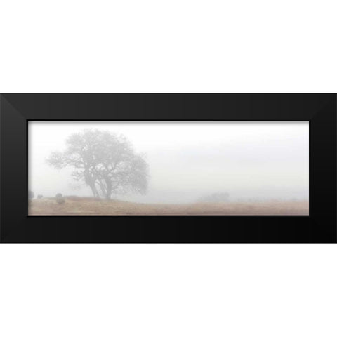 Oak Tree - 14 Black Modern Wood Framed Art Print by Blaustein, Alan