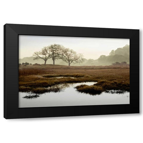 Oak Tree - 65 Black Modern Wood Framed Art Print by Blaustein, Alan