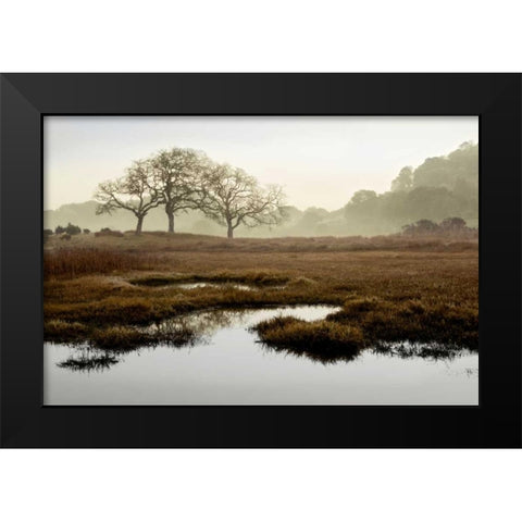 Oak Tree - 65 Black Modern Wood Framed Art Print by Blaustein, Alan