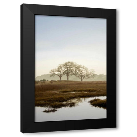 Oak Tree - 66 Black Modern Wood Framed Art Print by Blaustein, Alan