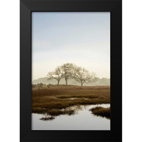 Oak Tree - 66 Black Modern Wood Framed Art Print by Blaustein, Alan