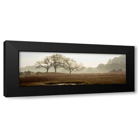 Oak Tree - 64 Black Modern Wood Framed Art Print by Blaustein, Alan