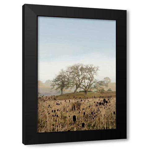 Oak Tree - 67 Black Modern Wood Framed Art Print by Blaustein, Alan