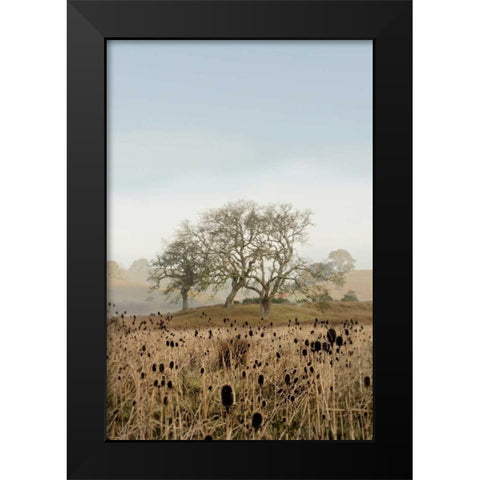 Oak Tree - 67 Black Modern Wood Framed Art Print by Blaustein, Alan