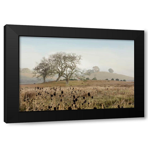 Oak Tree - 68 Black Modern Wood Framed Art Print by Blaustein, Alan
