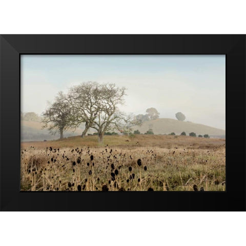 Oak Tree - 68 Black Modern Wood Framed Art Print by Blaustein, Alan