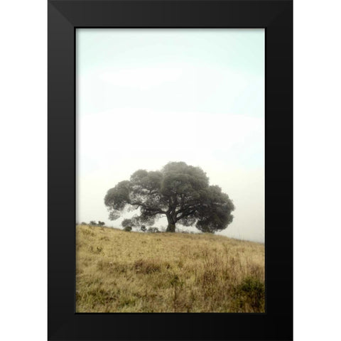 Oak Tree - 52 Black Modern Wood Framed Art Print by Blaustein, Alan