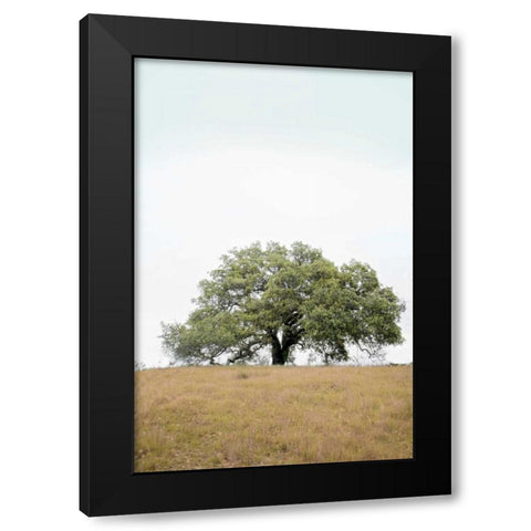 Oak Tree - 73 Black Modern Wood Framed Art Print by Blaustein, Alan