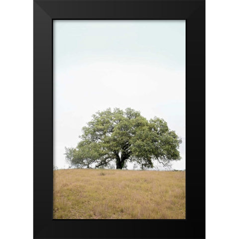 Oak Tree - 73 Black Modern Wood Framed Art Print by Blaustein, Alan