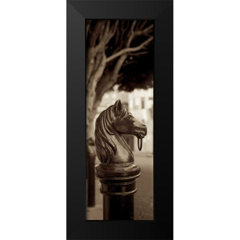 Hitching Post Pano - 2 Black Modern Wood Framed Art Print by Blaustein, Alan