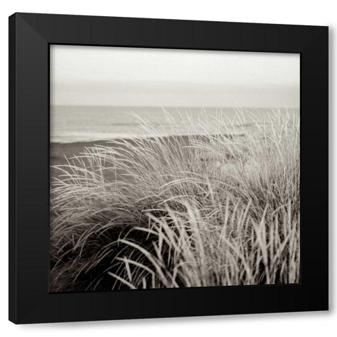 Tuscan Coast Dunes - 2 Black Modern Wood Framed Art Print by Blaustein, Alan