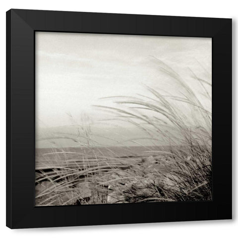 Tuscan Coast Dunes - 1 Black Modern Wood Framed Art Print by Blaustein, Alan