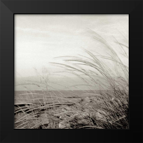 Tuscan Coast Dunes - 1 Black Modern Wood Framed Art Print by Blaustein, Alan