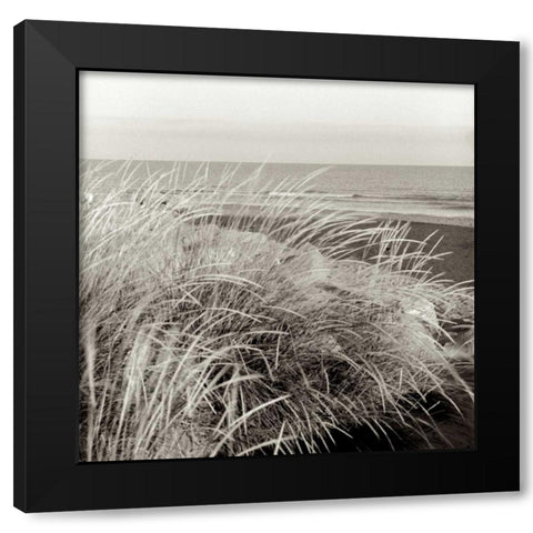 Tuscan Coast Dunes - 3 Black Modern Wood Framed Art Print with Double Matting by Blaustein, Alan