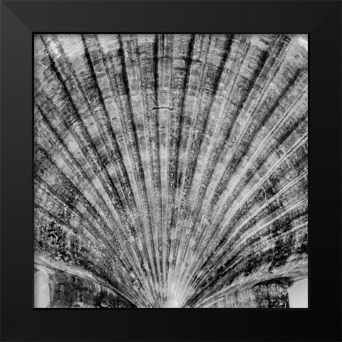 Crystal Cove - 40 Black Modern Wood Framed Art Print by Blaustein, Alan