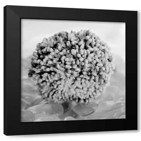 Crystal Cove - 43 Black Modern Wood Framed Art Print by Blaustein, Alan