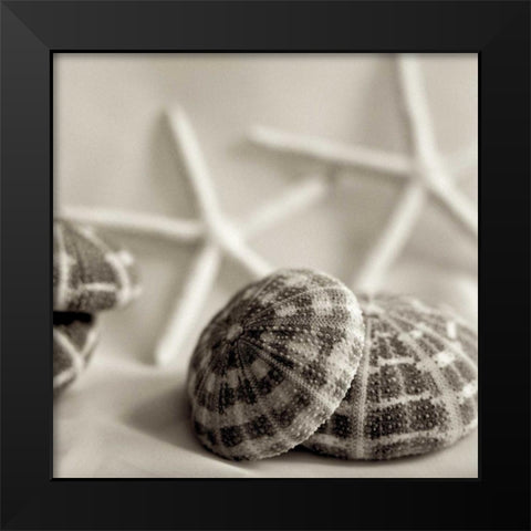 Crystal Harbor - 20 Black Modern Wood Framed Art Print by Blaustein, Alan