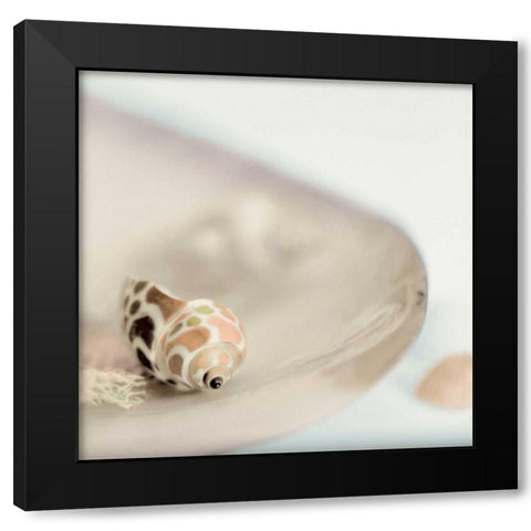 Lagoon Tidepool - 2 Black Modern Wood Framed Art Print with Double Matting by Blaustein, Alan