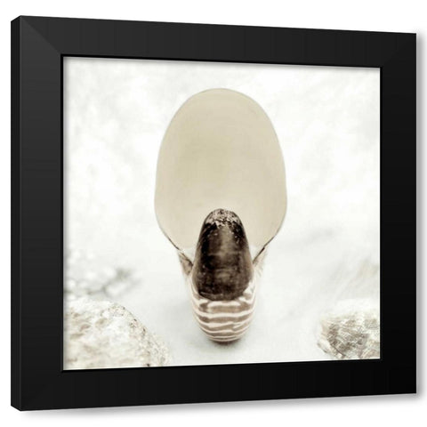 Crystal Harbor - 16 Black Modern Wood Framed Art Print by Blaustein, Alan