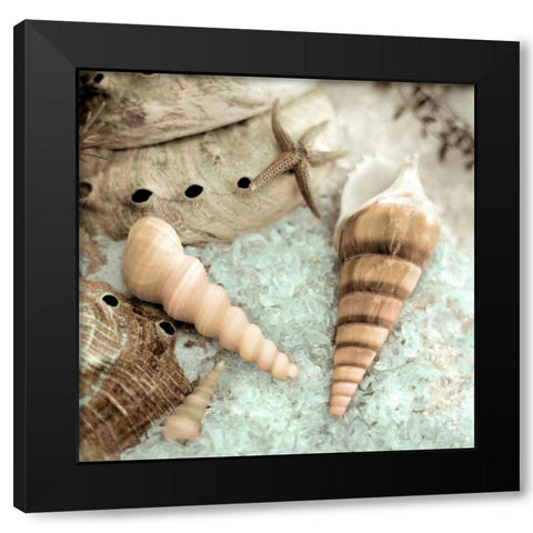 Lagoon Tidepool - 1 Black Modern Wood Framed Art Print with Double Matting by Blaustein, Alan