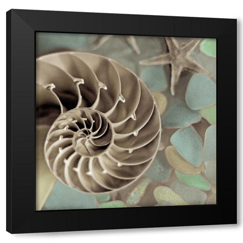 Crystal Harbor - 14 Black Modern Wood Framed Art Print with Double Matting by Blaustein, Alan