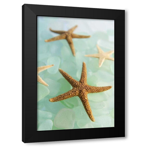 Crystal Cove - 30 Black Modern Wood Framed Art Print by Blaustein, Alan