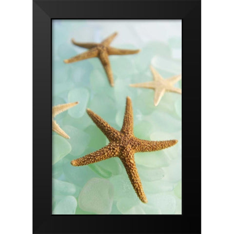 Crystal Cove - 30 Black Modern Wood Framed Art Print by Blaustein, Alan