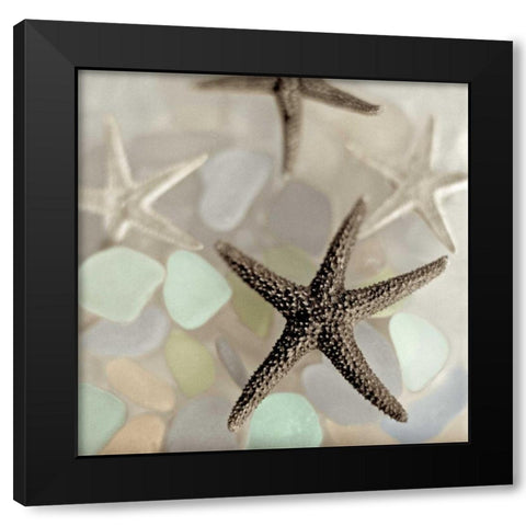 Crystal Harbor - 13 Black Modern Wood Framed Art Print by Blaustein, Alan