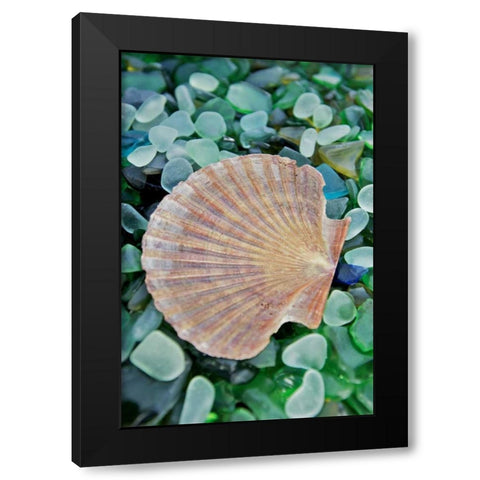 Crystal Cove - 25 Black Modern Wood Framed Art Print by Blaustein, Alan