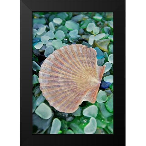 Crystal Cove - 25 Black Modern Wood Framed Art Print by Blaustein, Alan