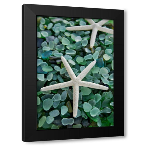 Crystal Harbor - 21 Black Modern Wood Framed Art Print by Blaustein, Alan