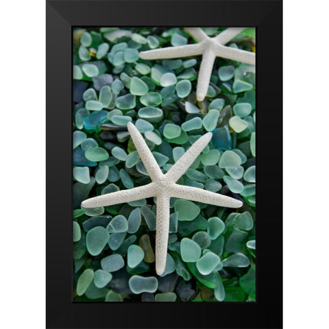 Crystal Harbor - 21 Black Modern Wood Framed Art Print by Blaustein, Alan