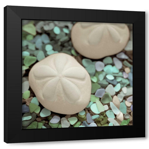 Crystal Harbor - 12 Black Modern Wood Framed Art Print by Blaustein, Alan