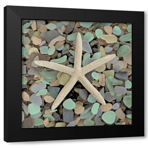 Crystal Harbor - 10 Black Modern Wood Framed Art Print by Blaustein, Alan