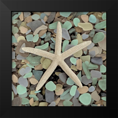 Crystal Harbor - 10 Black Modern Wood Framed Art Print by Blaustein, Alan