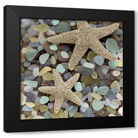 Crystal Harbor - 11 Black Modern Wood Framed Art Print with Double Matting by Blaustein, Alan