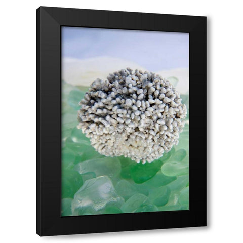 Crystal Harbor - 34 Black Modern Wood Framed Art Print by Blaustein, Alan