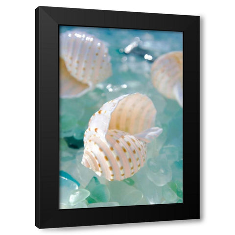 Crystal Cove - 24 Black Modern Wood Framed Art Print by Blaustein, Alan