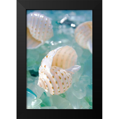 Crystal Cove - 24 Black Modern Wood Framed Art Print by Blaustein, Alan