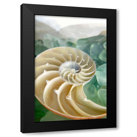 Crystal Cove - 27 Black Modern Wood Framed Art Print by Blaustein, Alan