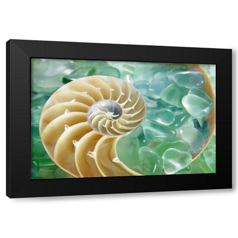 Crystal Harbor - 26 Black Modern Wood Framed Art Print by Blaustein, Alan