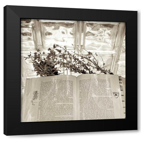 Holiday - 9 Black Modern Wood Framed Art Print by Blaustein, Alan