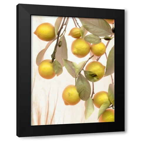 Lemons - 1 Black Modern Wood Framed Art Print by Blaustein, Alan