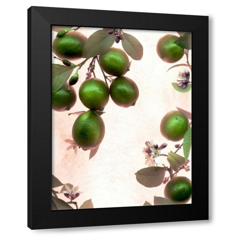 Limes - 1 Black Modern Wood Framed Art Print by Blaustein, Alan