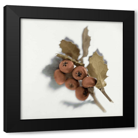 Holiday - 6 Black Modern Wood Framed Art Print by Blaustein, Alan