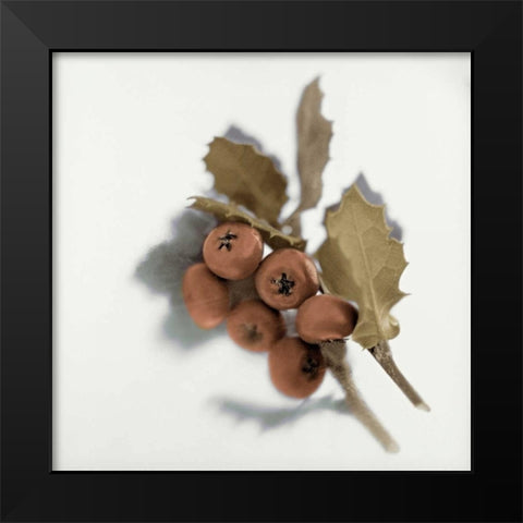 Holiday - 6 Black Modern Wood Framed Art Print by Blaustein, Alan